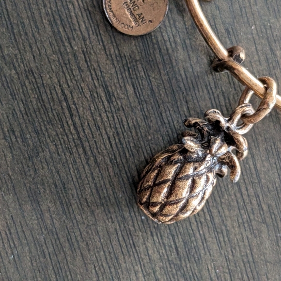 Alex and Ani Bronze Pineapple Charm Bracelet - Picture 4 of 4